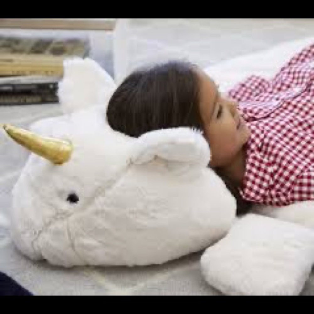 LAST DROP! Shaggy Head Unicorn Pottery Barn Pink Kid’s Sleeping bag